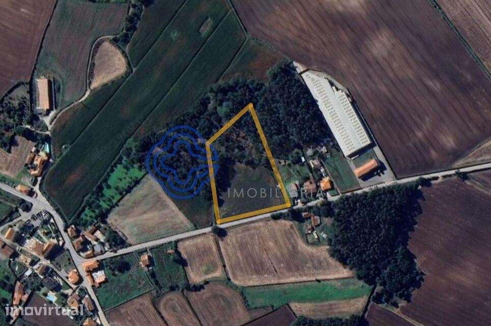 Terreno com 8.200 m2  - Vila do Conde - Grande imagem: 3/4