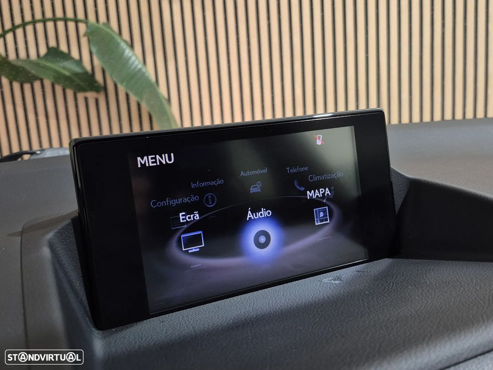 Lexus CT 200h F Sport+ - 36