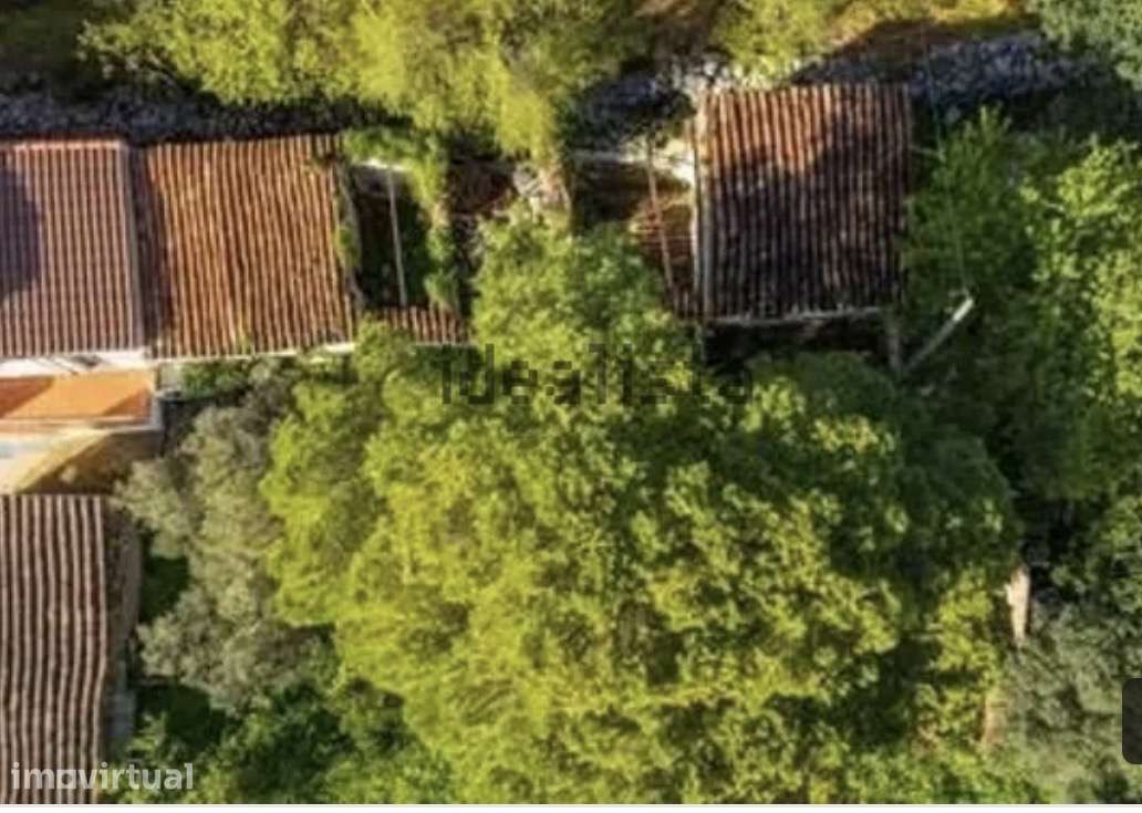 Moradia T2 com piscina e jardim em São Brás de Aportel (Desbarato) - Grande imagem: 5/5
