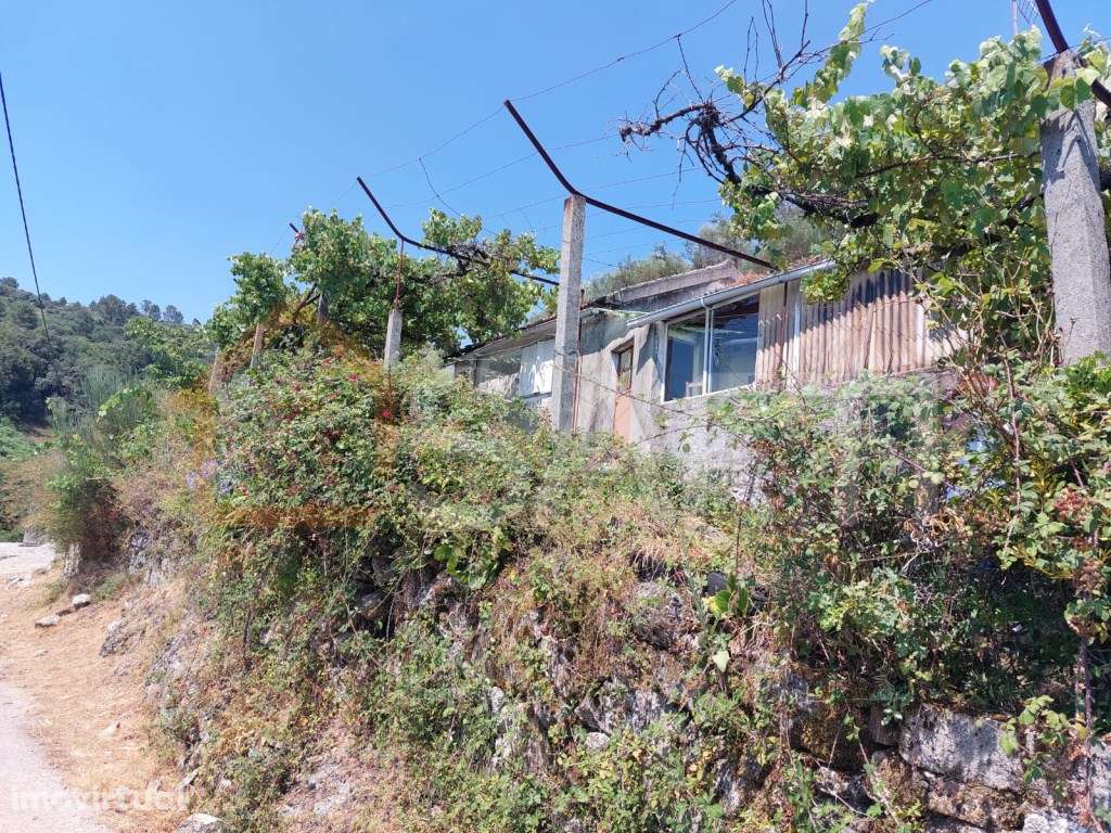 Moradia na Montanha - Grande imagem: 3/12