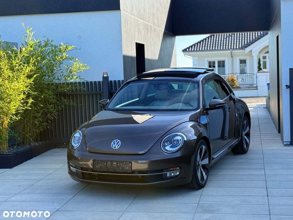 Volkswagen Beetle - 3