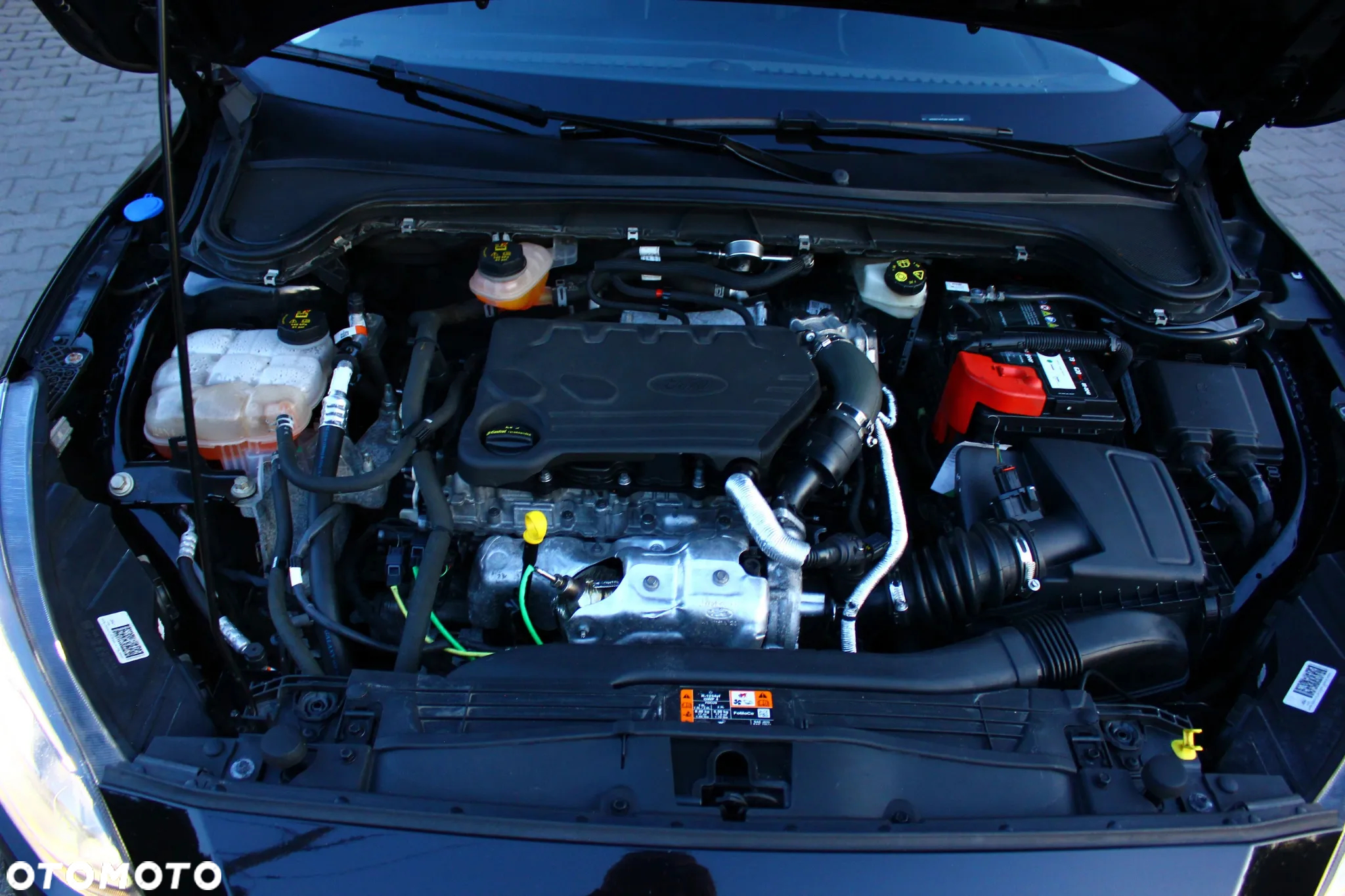 Ford Focus 1.5 EcoBlue Start-Stopp-System TITANIUM - 40