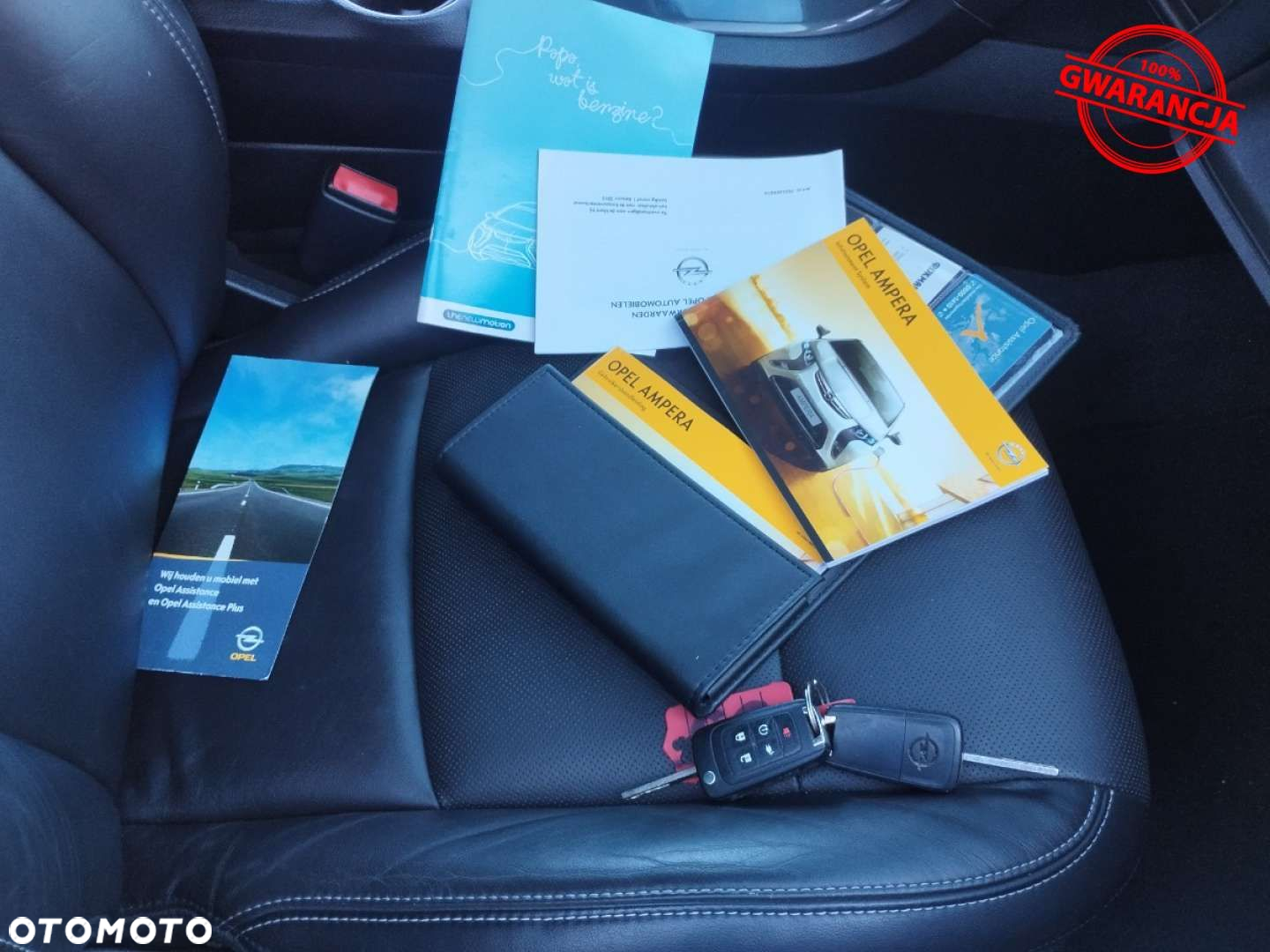 Opel Ampera - 29