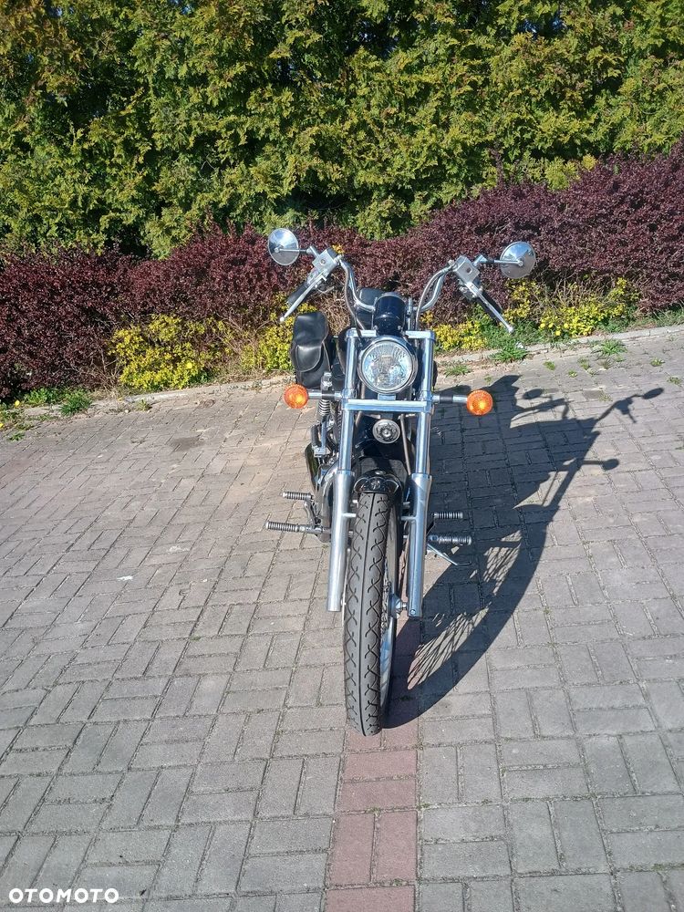 Suzuki Intruder - 5