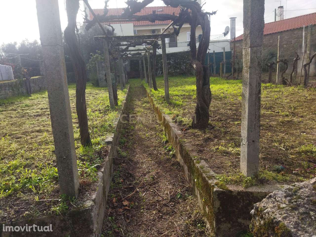 Terreno Urbano com arrecadação em Aldeia do Bispo, Penamacor - Grande imagem: 2/9