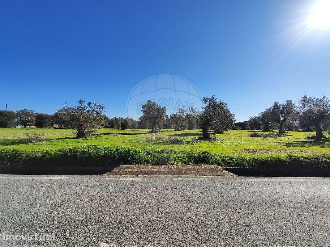 Terreno  para venda - Grande imagem: 3/5