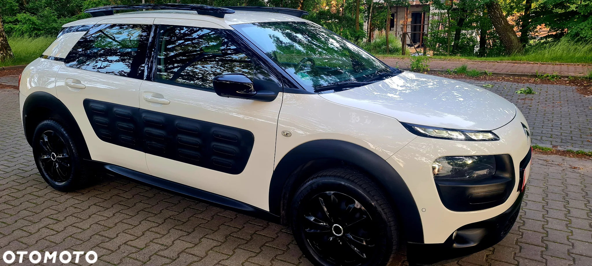Citroën C4 Cactus 1.2 PureTech GPF Shine Pack S&S - 13