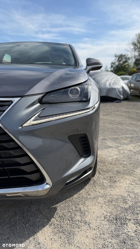 Lexus NX 300 AWD Executive Line - 4