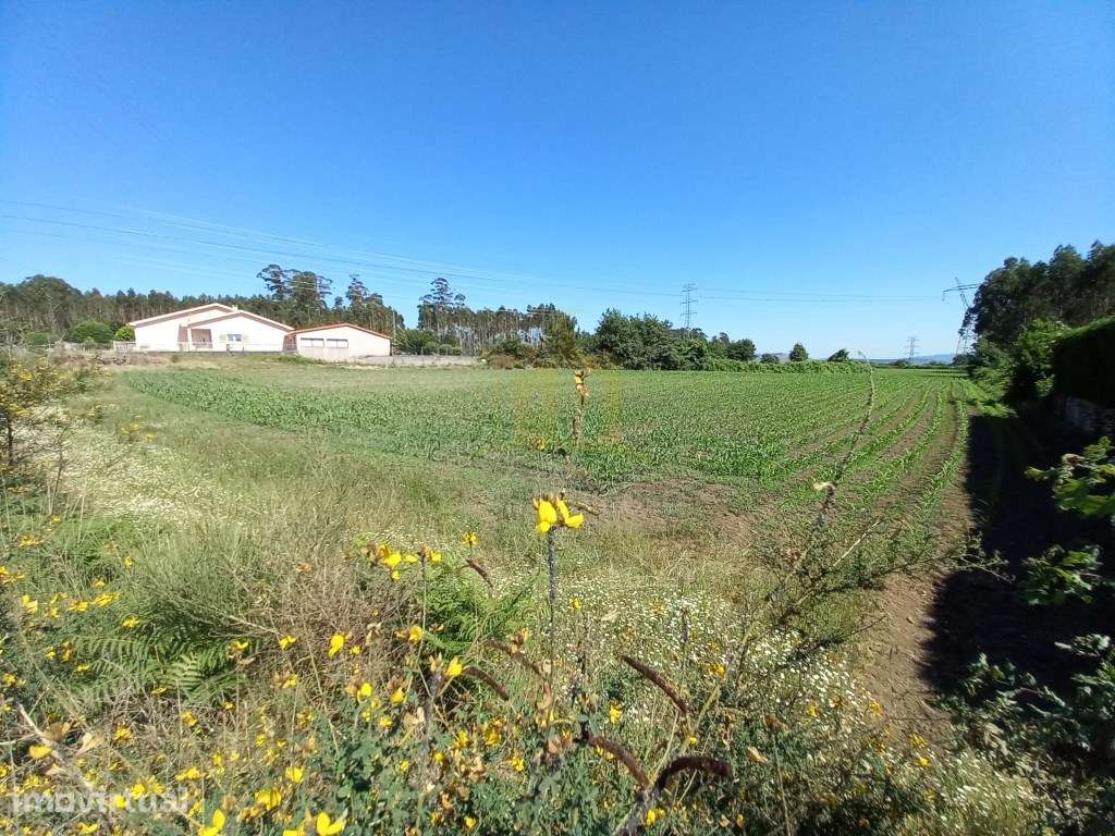 Terreno em Pedralva, Braga - Grande imagem: 5/12