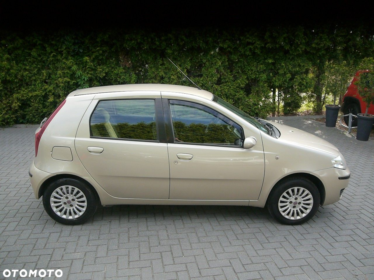 Fiat Punto - 13