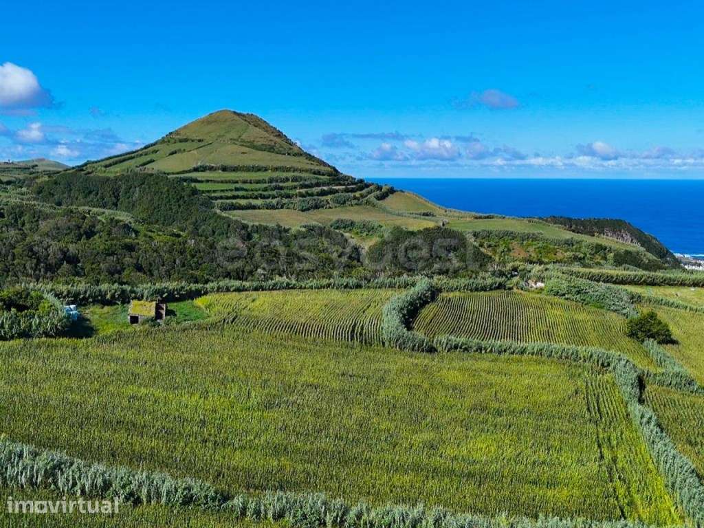 Terreno Rustico com viabilidade de construção -João Bom Da Bretanha - Grande imagem: 5/9