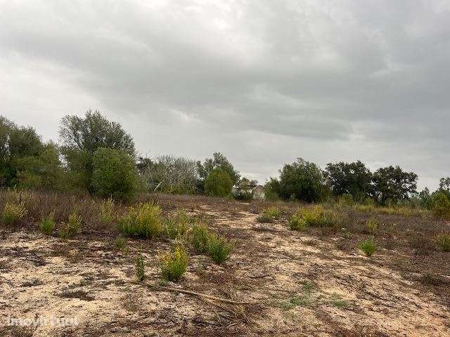 Herdade, para venda, Santiago do Cacém - Santo Andre - Grande imagem: 3/4