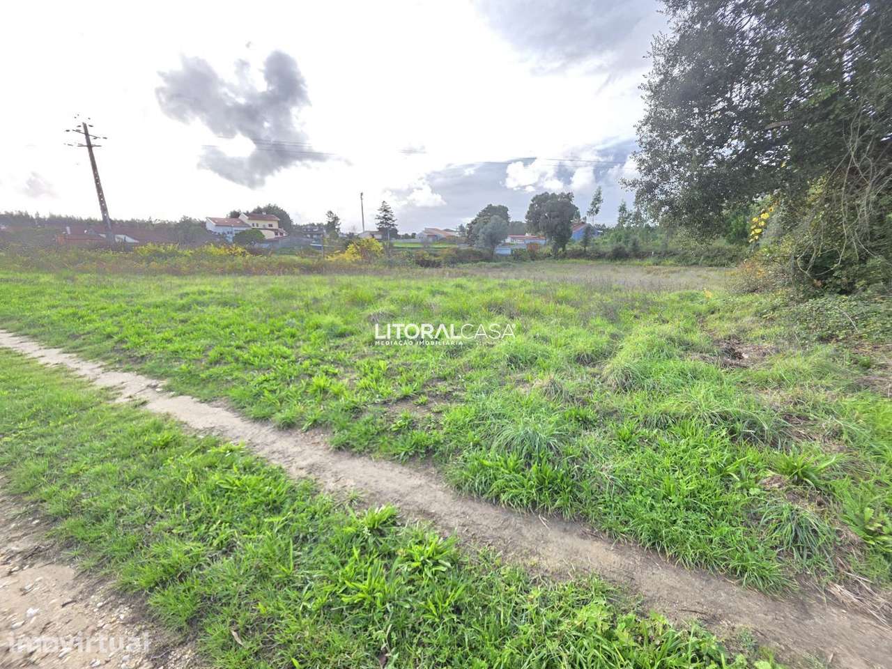 Terreno Agrícola - Eixo - Grande imagem: 5/14