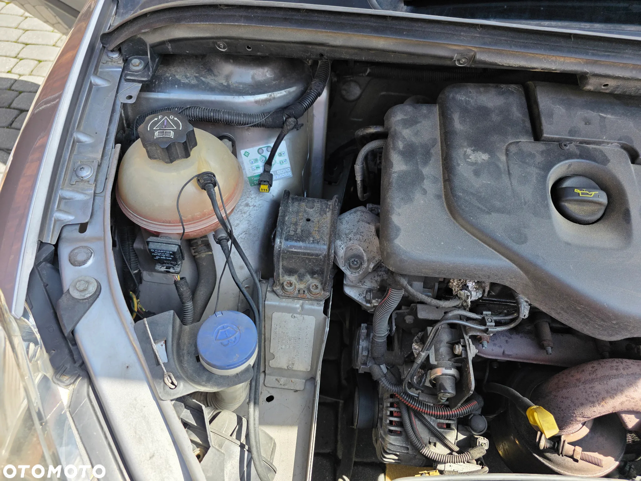 Peugeot 307 - 8