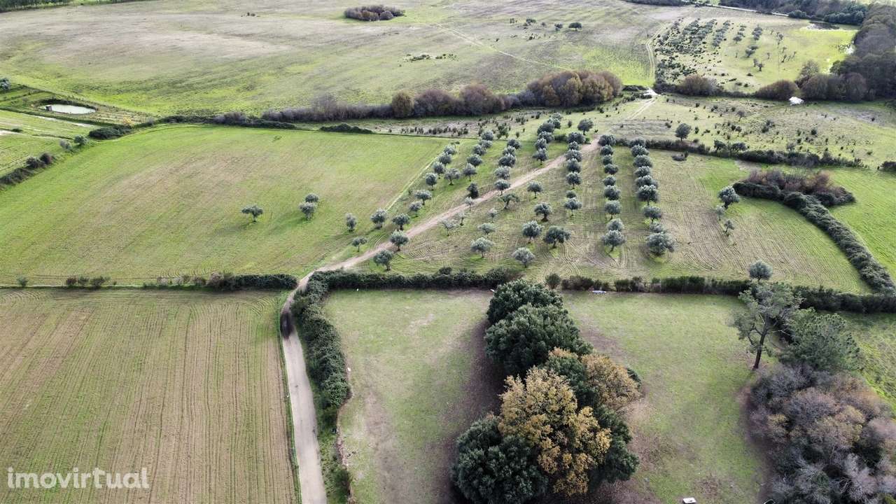 Quinta com 23 hectares junto a serra da gardunha, Soalheira Fundão - Grande imagem: 5/60