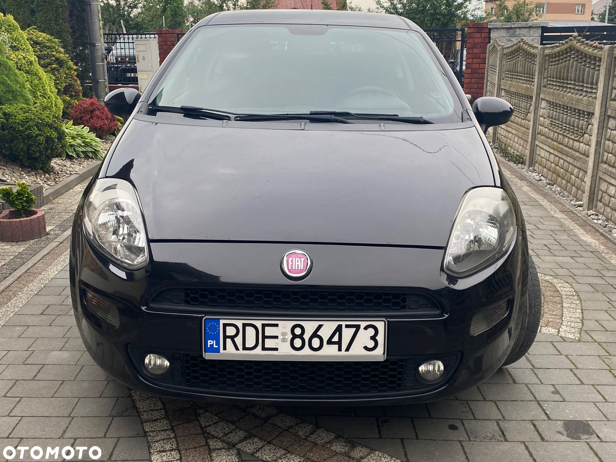 Fiat Punto - 3