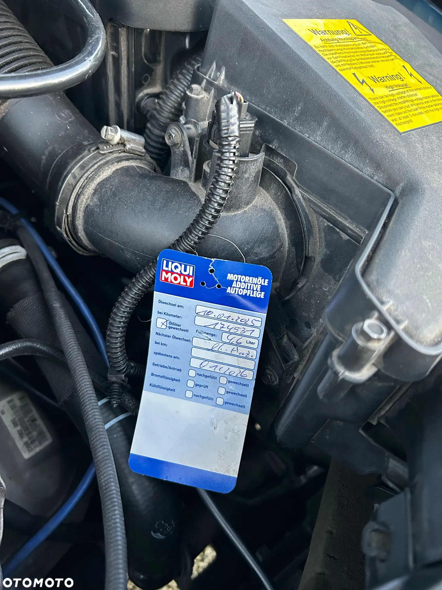Ford Focus - 25