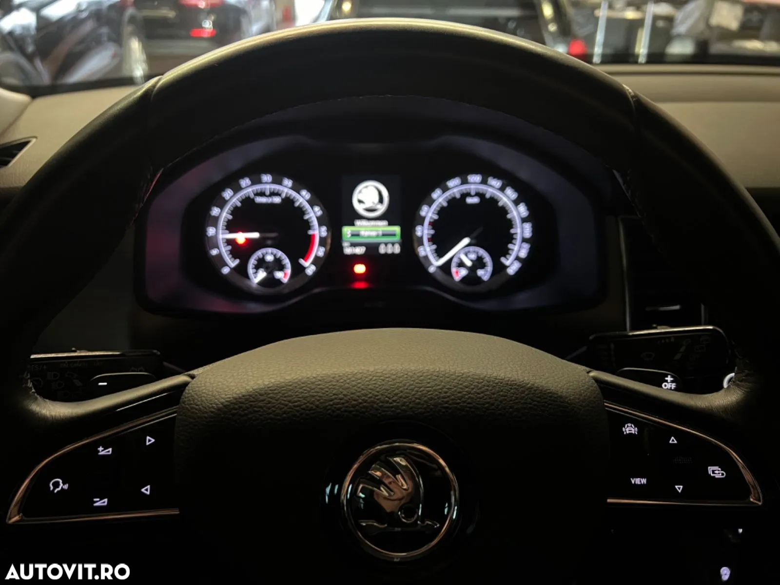 Skoda Kodiaq 2.0 TDI DSG Ambition - 12