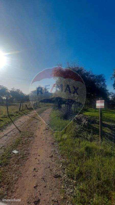 Terreno  para venda - Grande imagem: 4/25