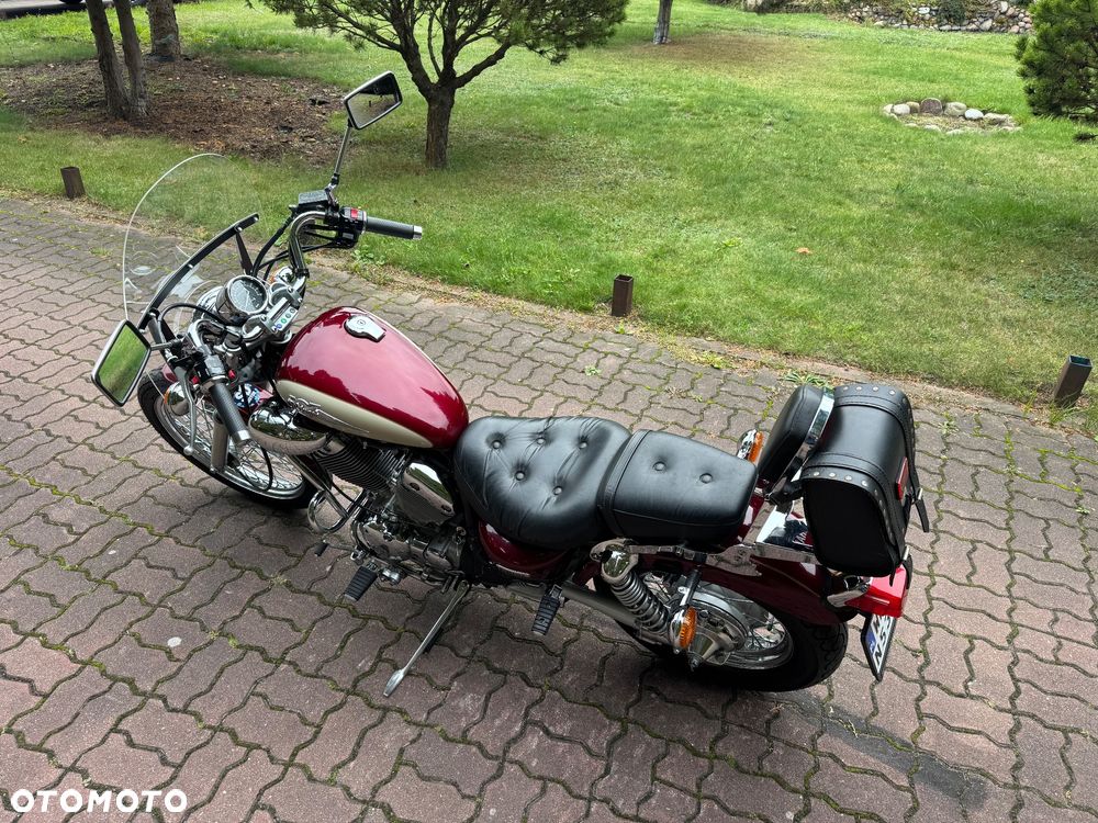 Yamaha Virago - 6