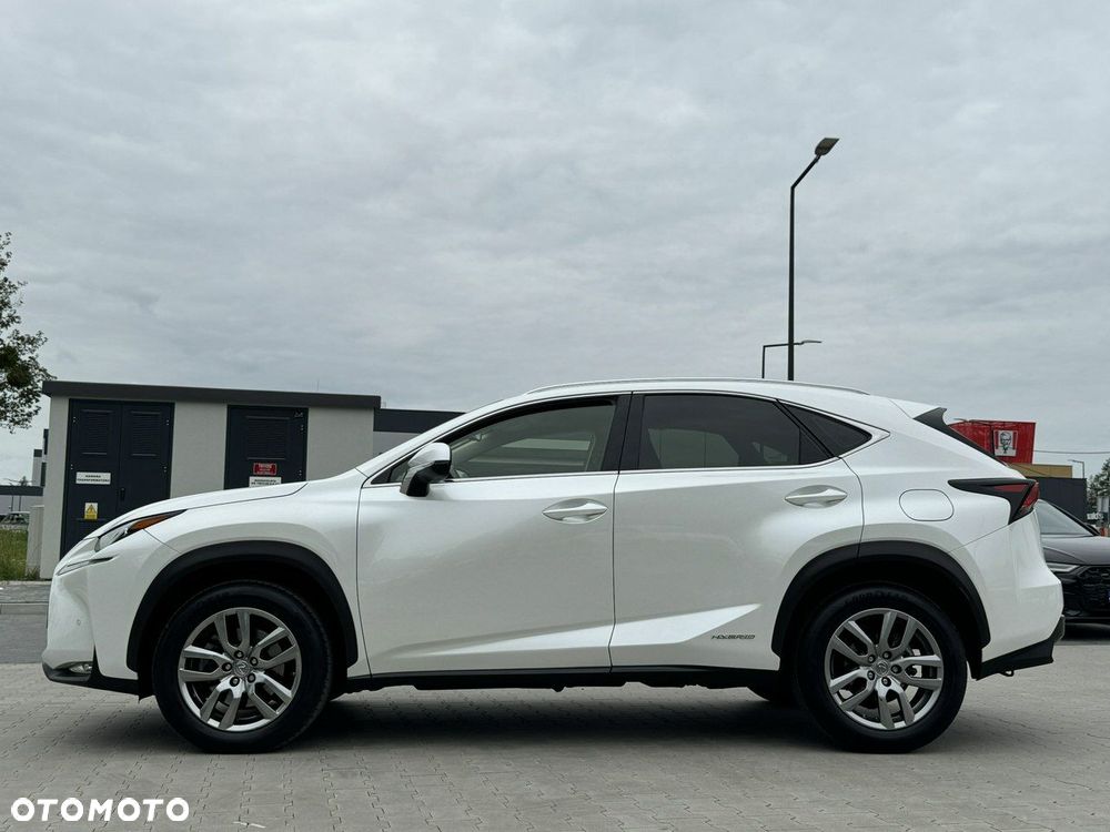 Lexus NX - 6