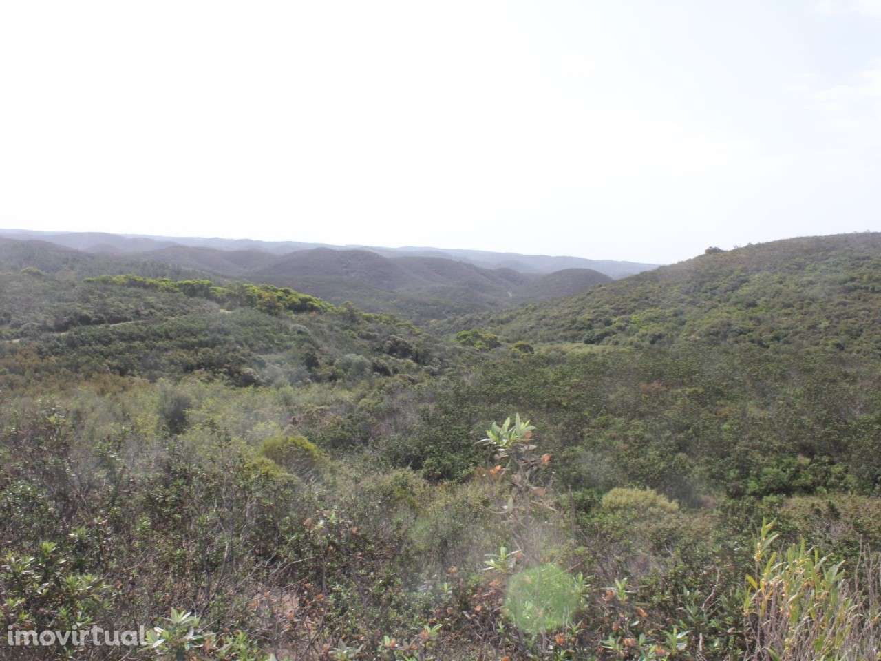 Terreno no Parque Natural que confronta com o oceano - Grande imagem: 2/3