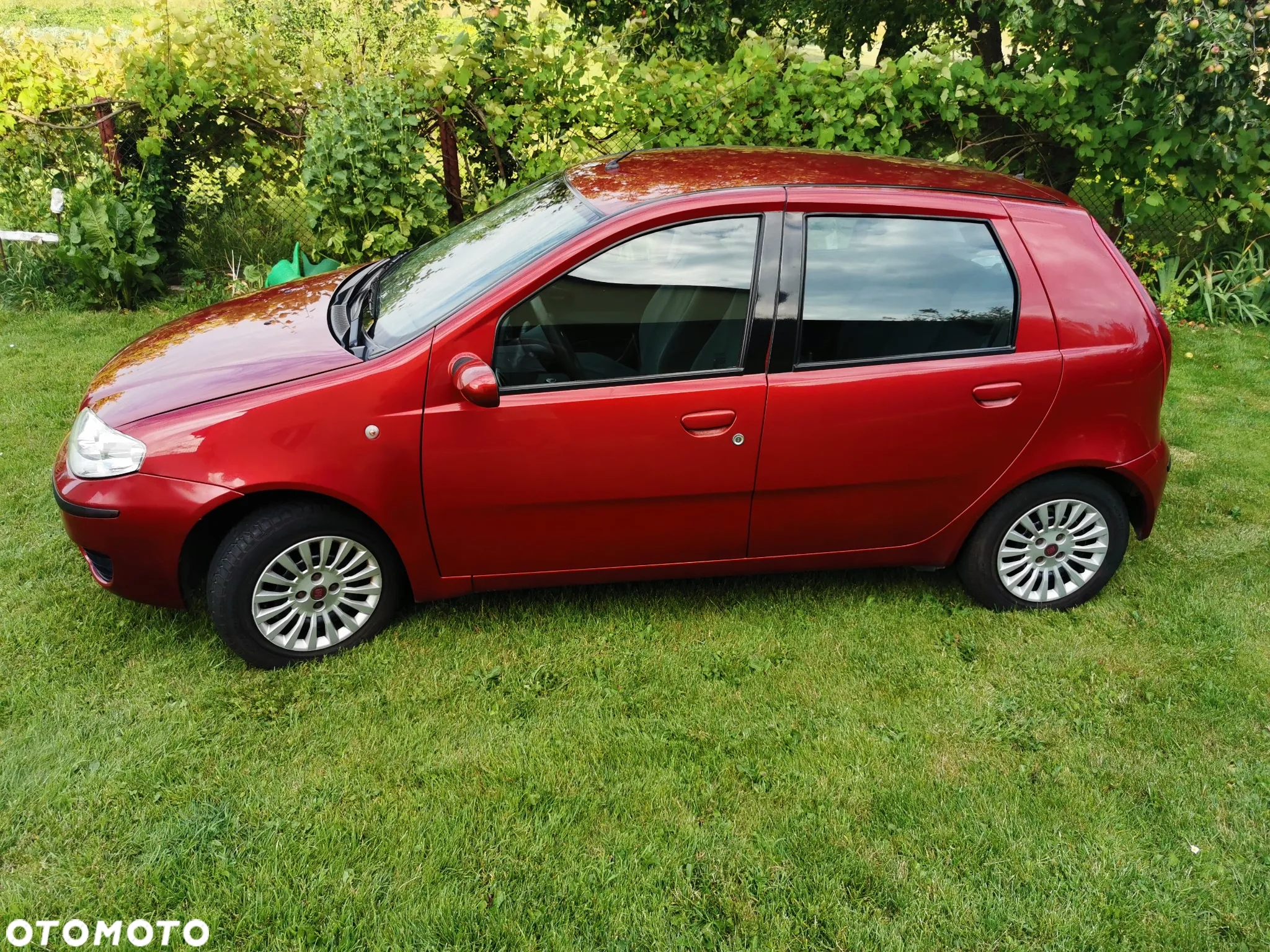 Fiat Punto 1.2 8V Classic - 5