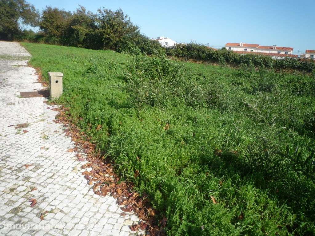 Lote de terreno em Albergaria-a-Velha - Grande imagem: 5/5
