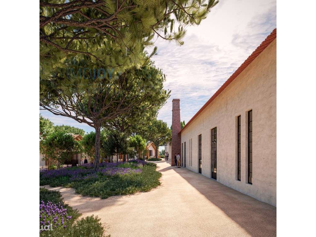 Grândola III - Grande imagem: 5/16