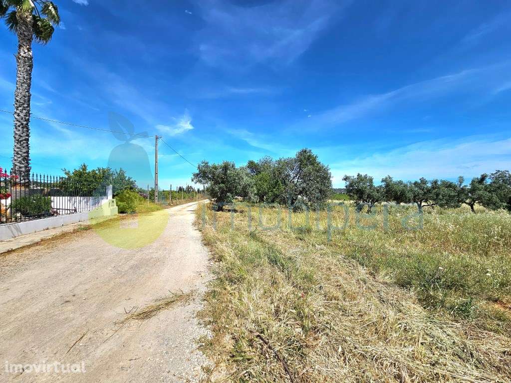 Terreno rústico pertíssimo de Alcantarilha, excelente para horta ou... - Grande imagem: 2/7