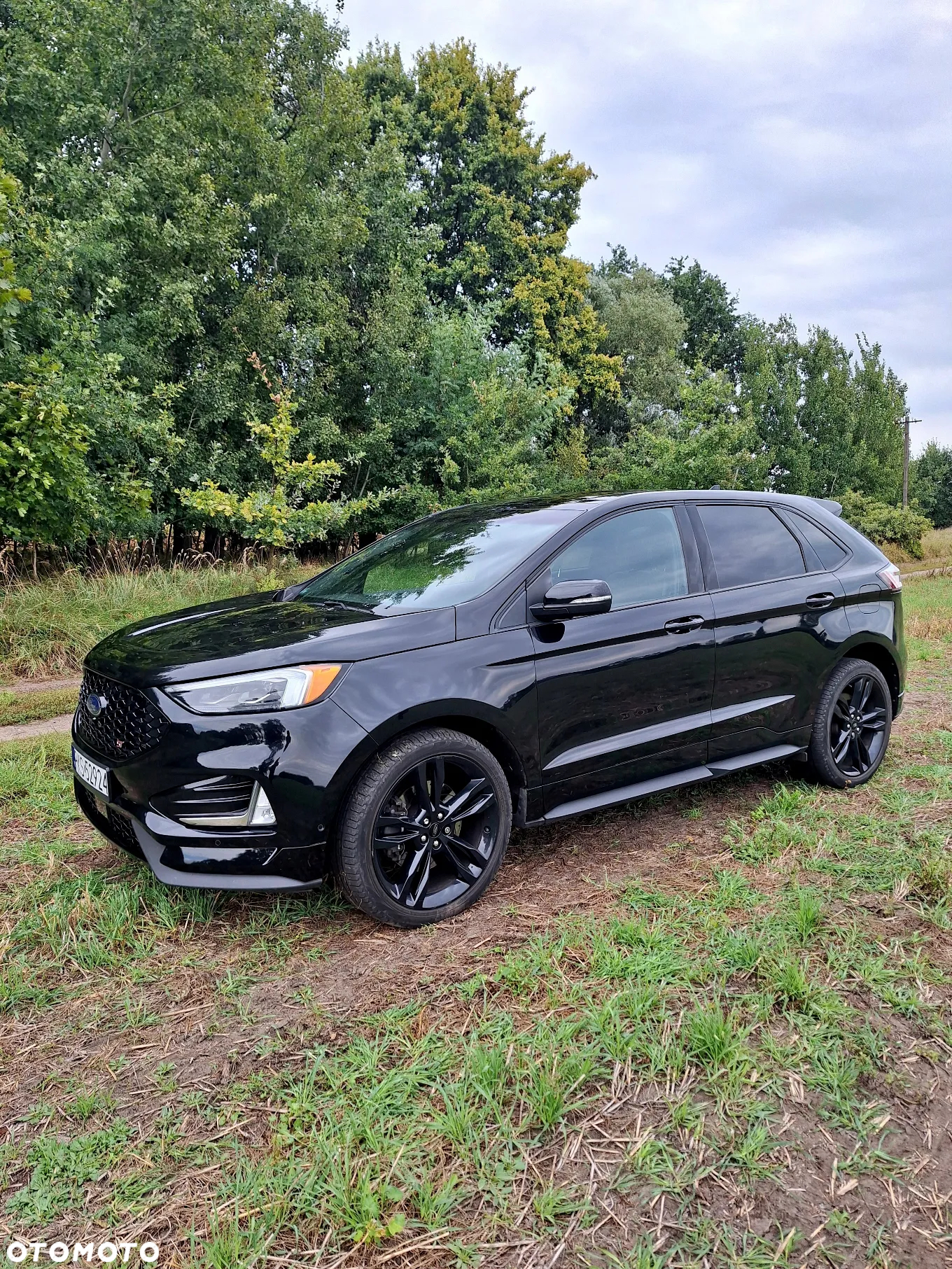 Ford Edge - 3