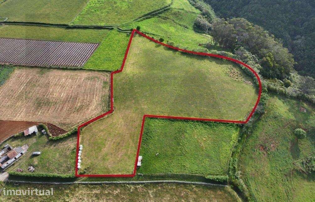 Terreno de 8990m2 com Vista Mar - Feteiras do nascente, Almagreira - Grande imagem: 2/9