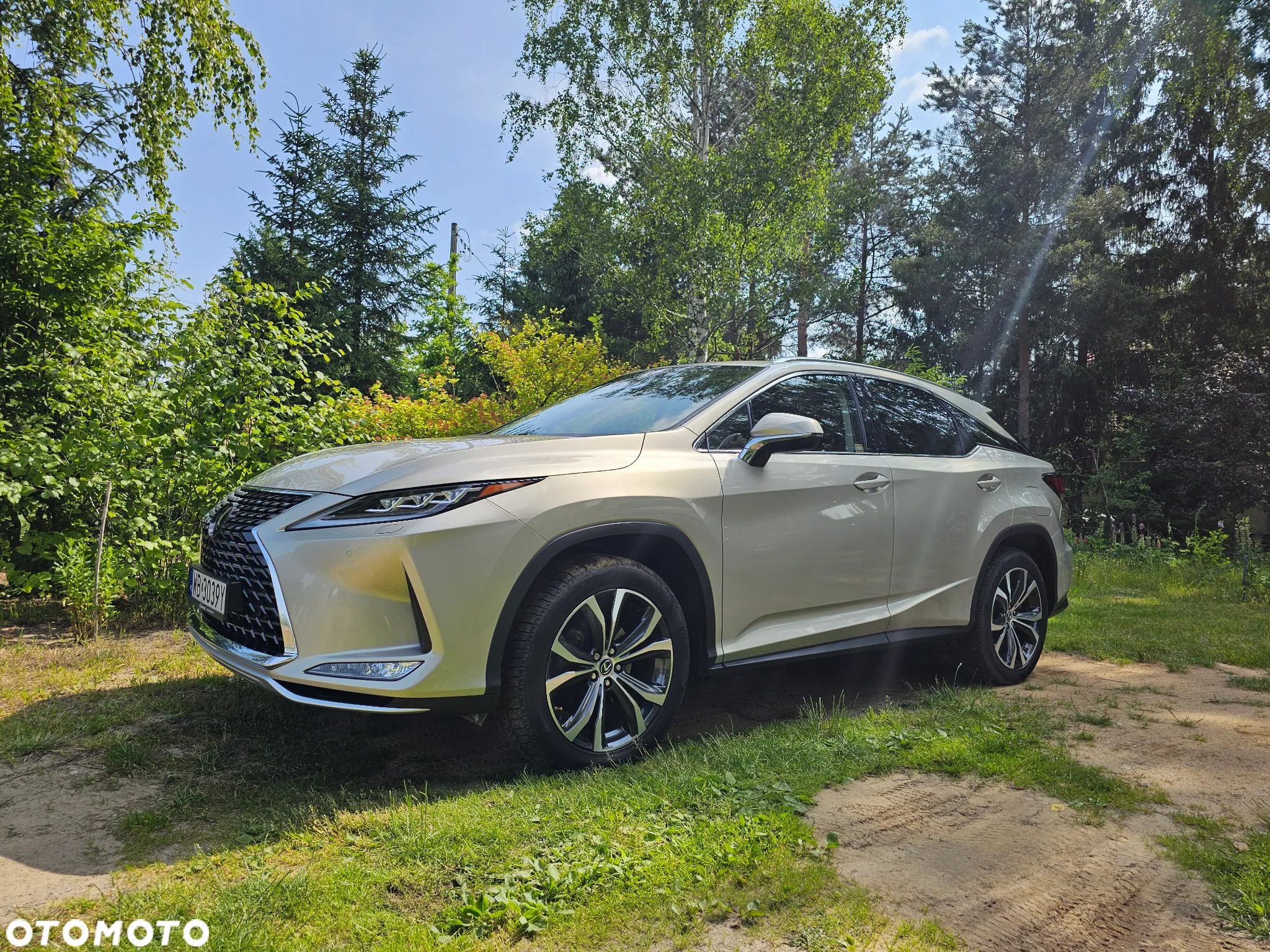 Lexus RX 300 Business Edition + - 2