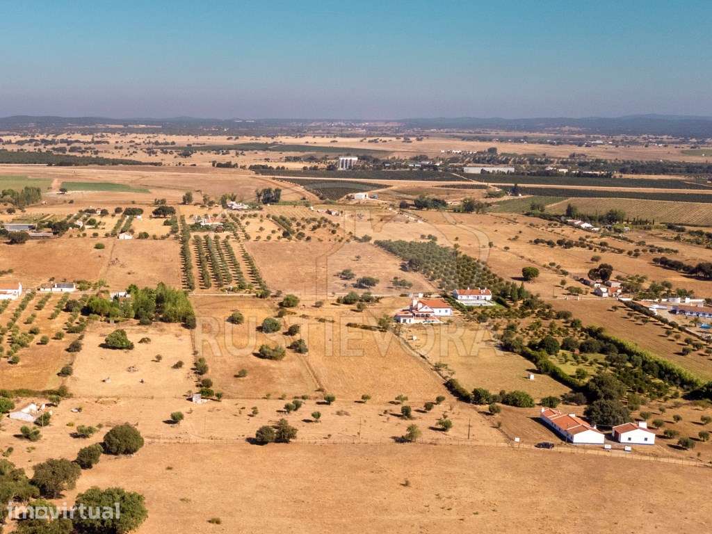 Terreno rústico, em São Miguel de Machede, sem viabilidade de const... - Grande imagem: 4/10