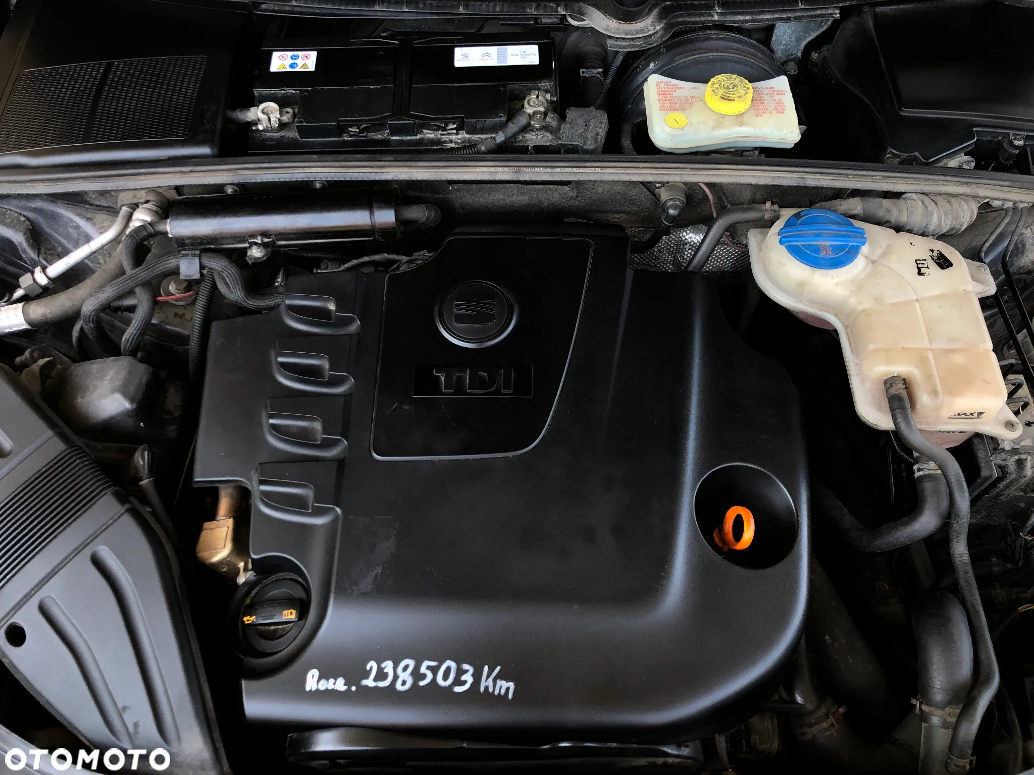 Seat Exeo - 37