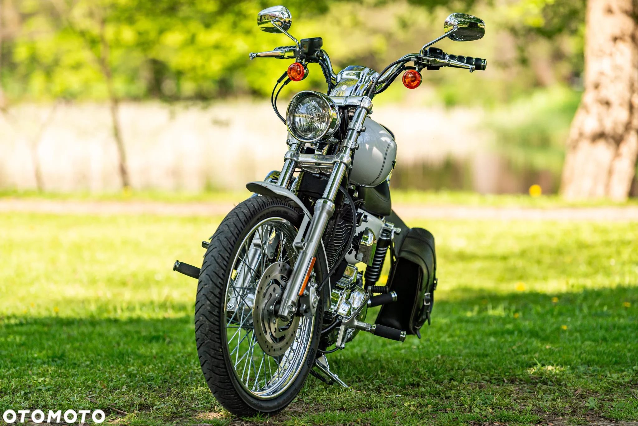 Harley-Davidson Inny - 2