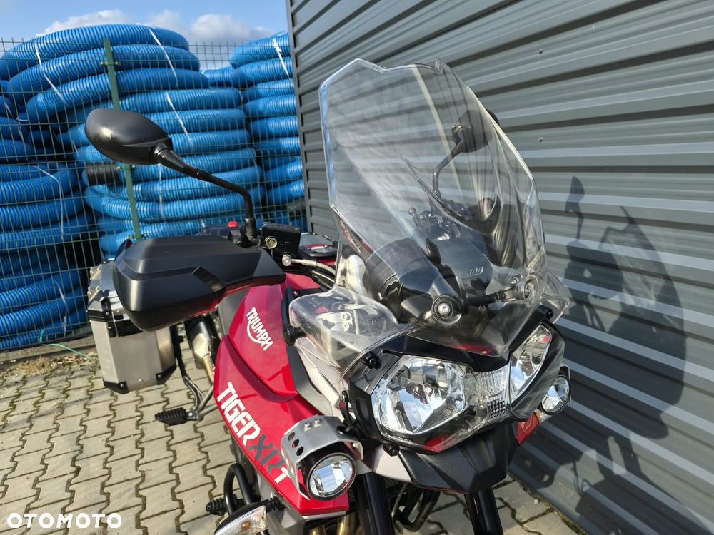 Triumph Tiger - 24