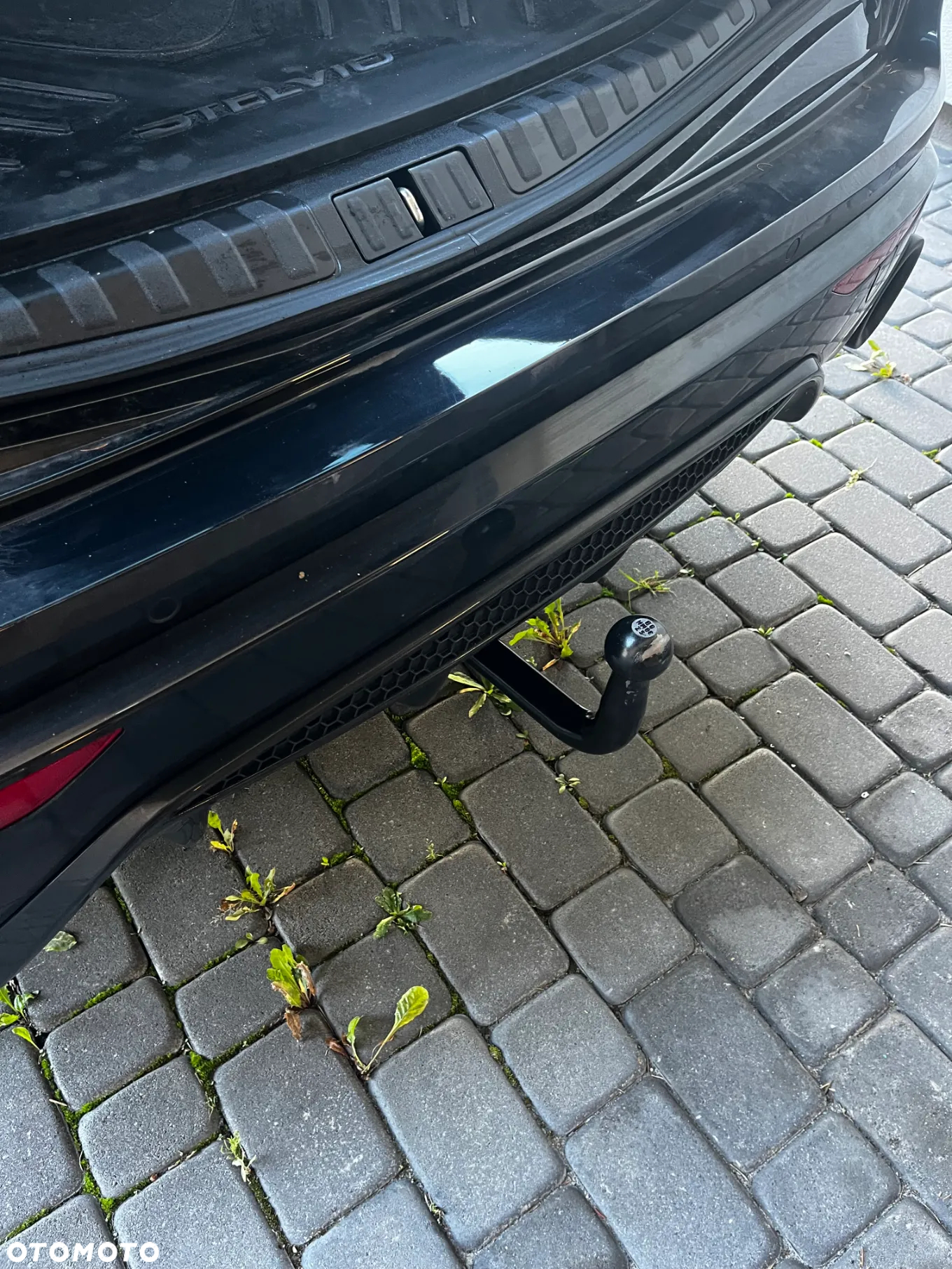 Alfa Romeo Stelvio 2.0 Turbo Veloce Q4 - 19