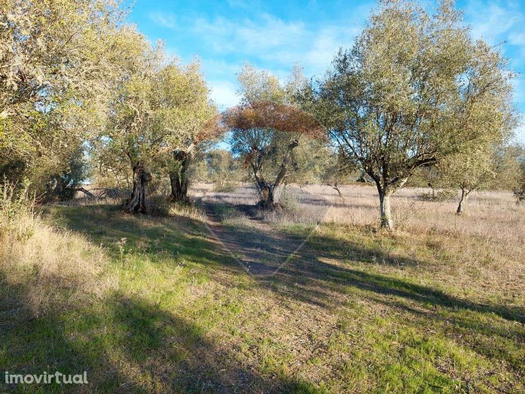 Terreno  para venda - Grande imagem: 2/11