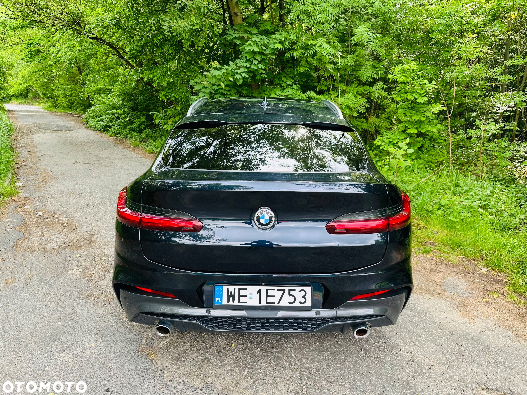 BMW X4 xDrive30i GPF M Sport X sport - 13