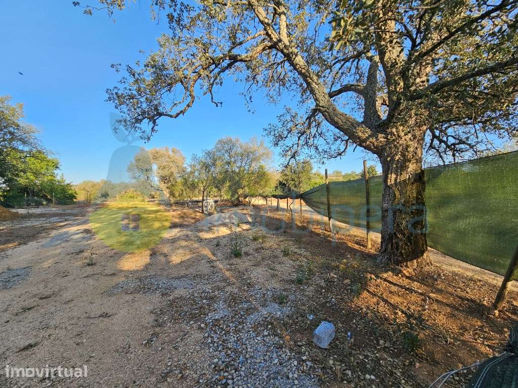 Terreno fértil em zona rural, para agricultura, projeto florestal, ... - Grande imagem: 3/18