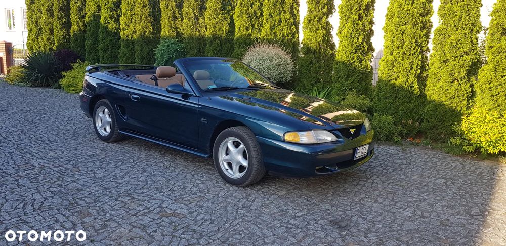 Ford Mustang - 1