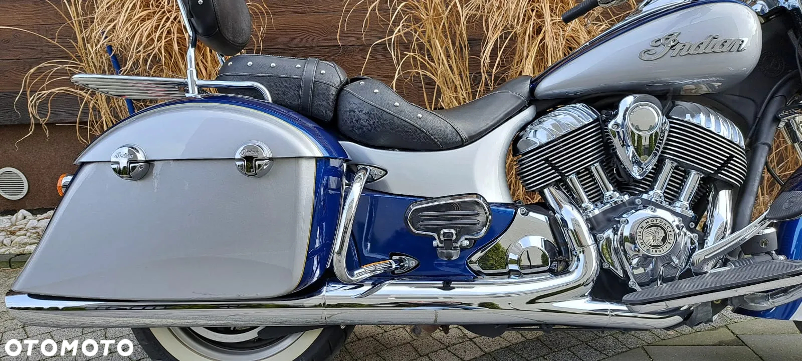 Indian Springfield - 13