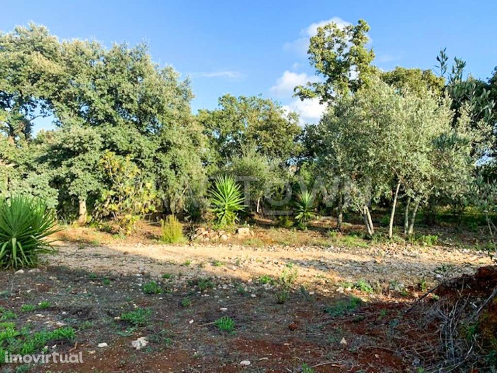 Refúgio Natural - Terreno - Grande imagem: 4/25