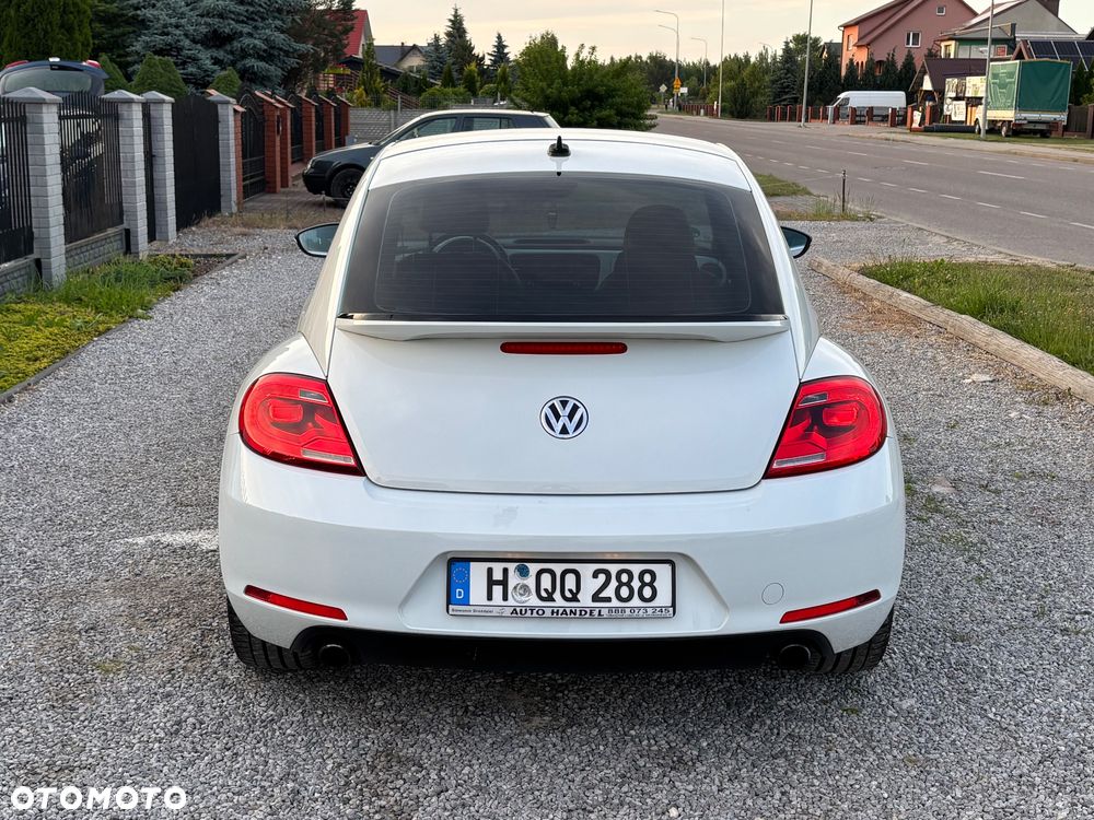 Volkswagen Beetle - 25