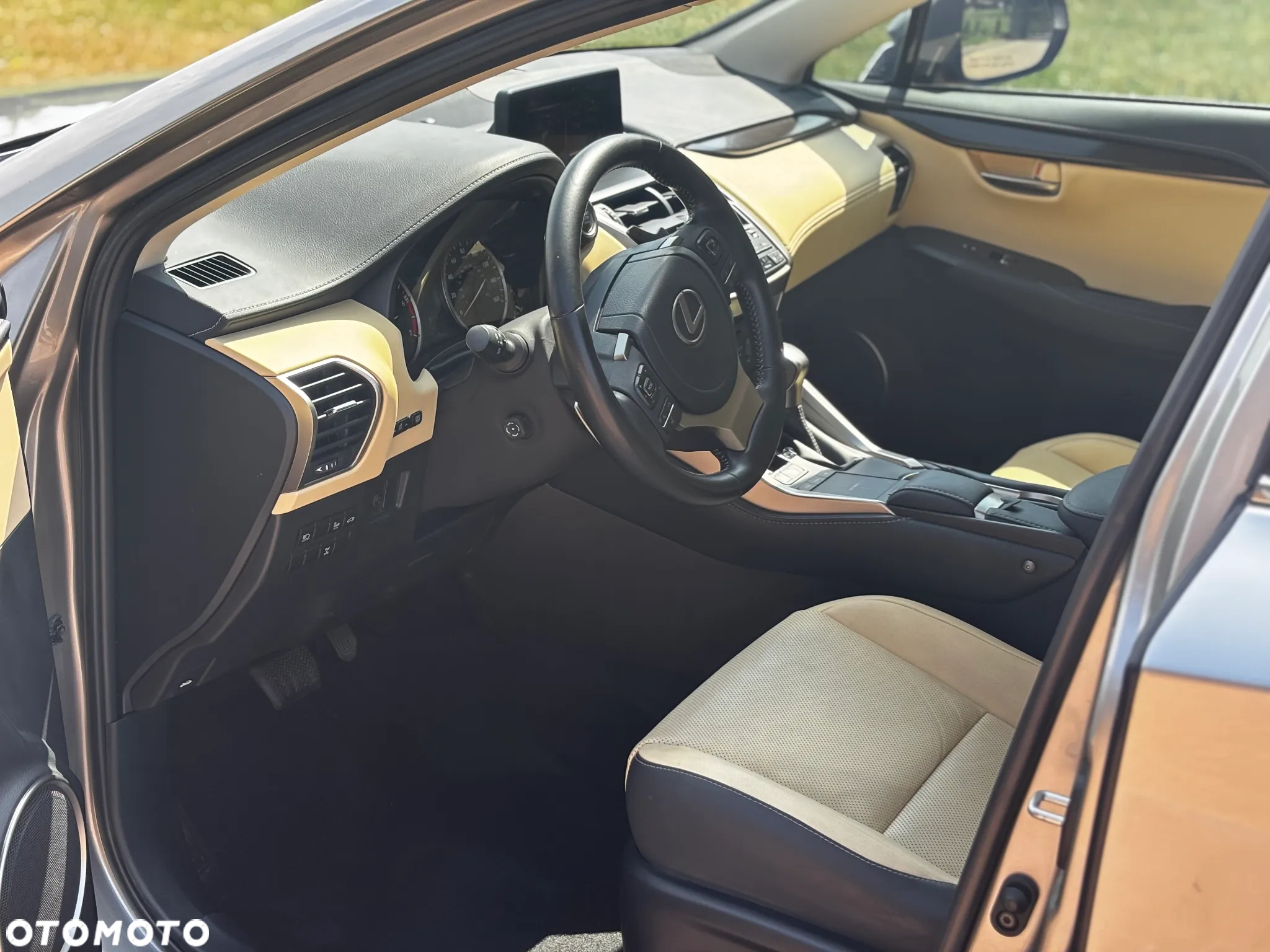 Lexus NX 300 AWD - 5
