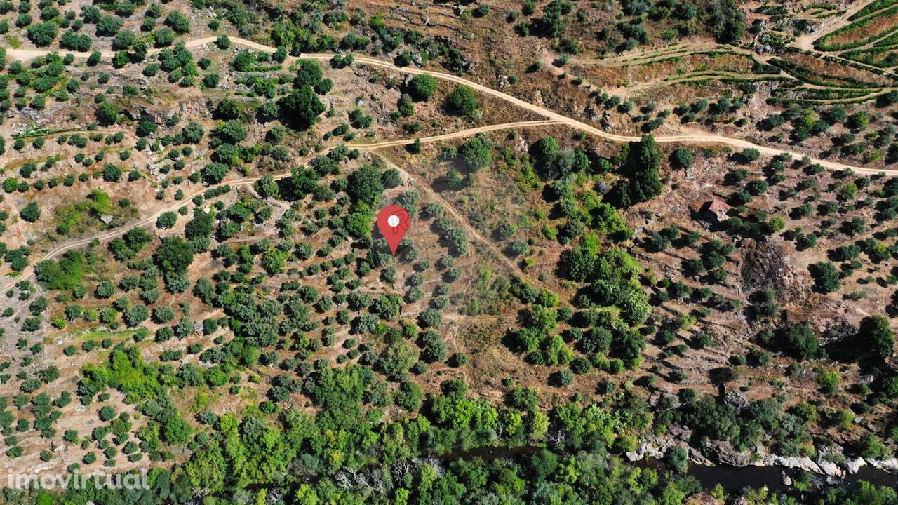 Terreno  para venda - Grande imagem: 3/5