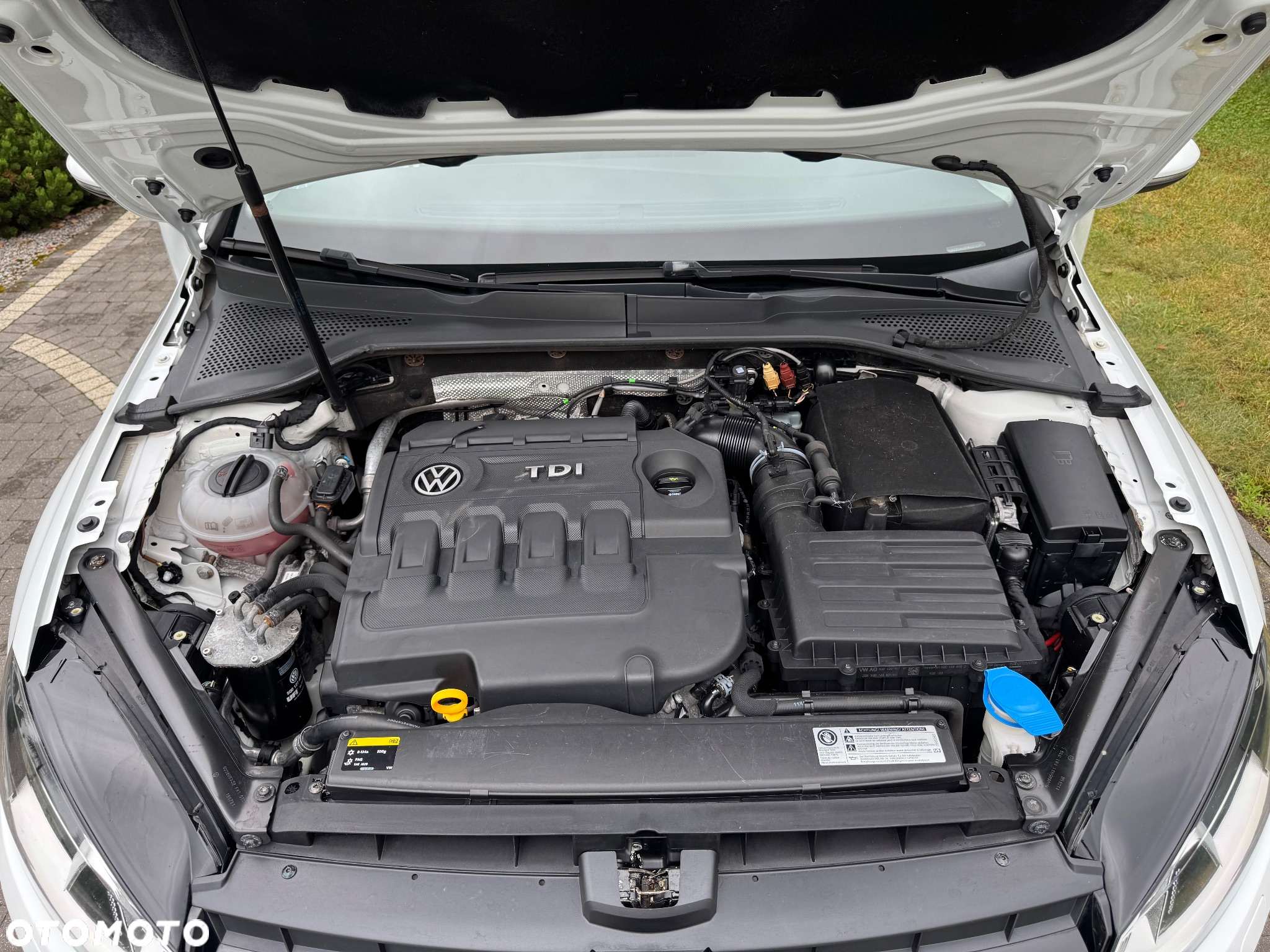 Volkswagen Golf 2.0 BlueTDI Cup - 10