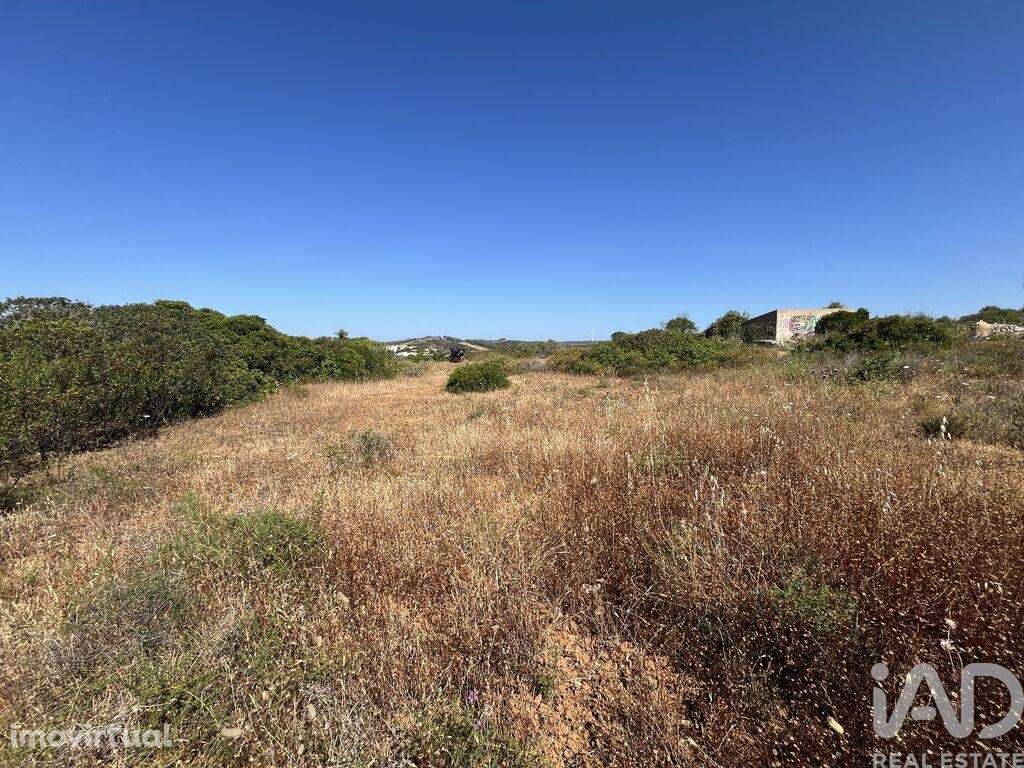Terreno Agrícola em Barão de São Miguel - Grande imagem: 4/6