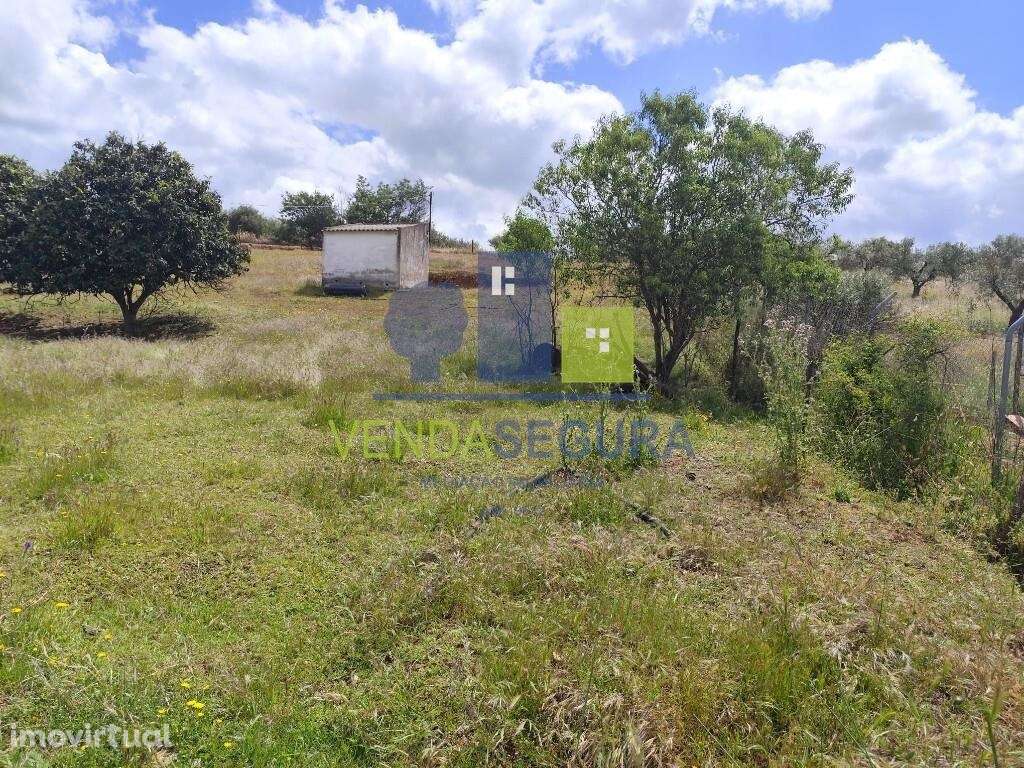2 Terrenos Rústicos 0,6 Ha | Sobral da Adiça - Grande imagem: 4/9